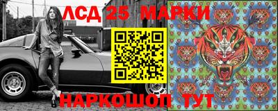 прущие грибы Камышлов