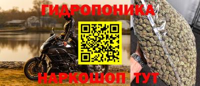 прущие грибы Камышлов