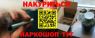 прущие грибы Камышлов